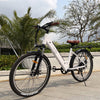 GTXR &  Bezior M3 Electric City Bike