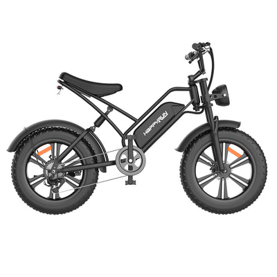 GTXR& Happyrun Electric Bike G50