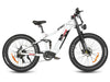 GTXR  & SAMEBIKE RSA08-II 1000W All Terrain Electric Bicycle