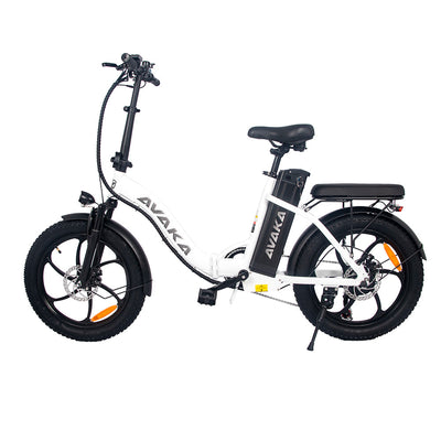 GTXR & AVAKA BZ20 PLUS Electric Folding City Bike