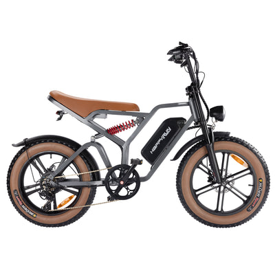 GTXR& Happyrun Tank G60 750W Electric Bike