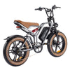 GTXR  & Happyrun Tank G60 750W Electric Bike