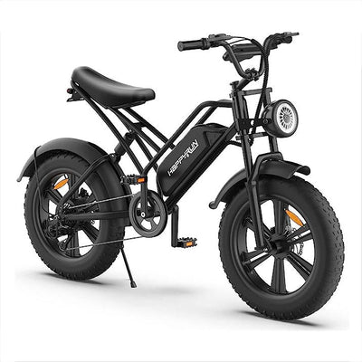 GTXR& Happyrun Electric Bike G50