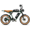 GTXR  & SAMEBIKE M20-III 2000W Electric Bicycle