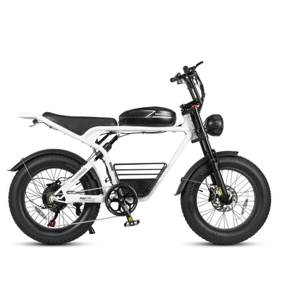 GTXR& SAMEBIKE M20 1000W Electric Bike